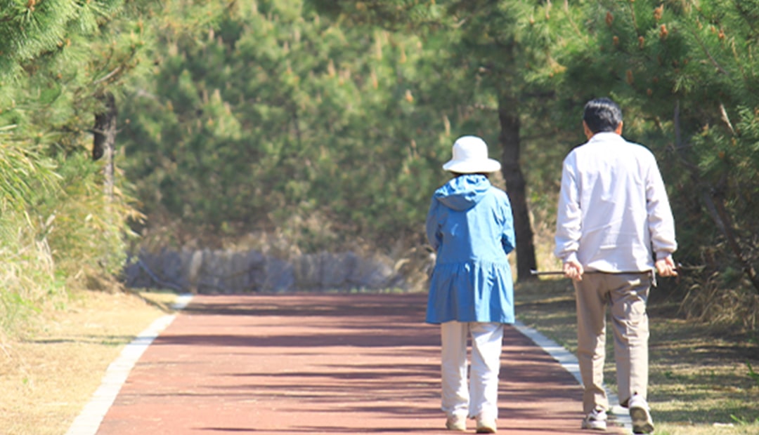 ご年配夫婦の写真